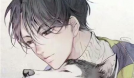 男漫画,魅力与力量的完美融合